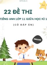 Bộ 22 Đề thi Tiếng Anh Lớp 11 giữa học kì 1 (Có đáp án)